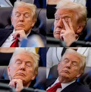 1786647854334.webp 1786647854334.webp