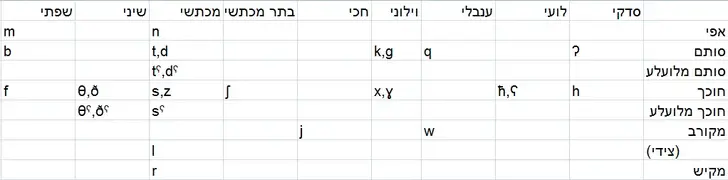 לכידה.PNG לכידה.PNG