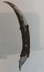 1733073832271.png