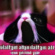שם משתמש