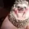 Thalimenel